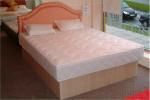 Softsided Waterbed